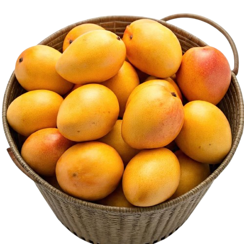 19ab3249c4ec612f9c0d4463f0567b5a-removebg-preview