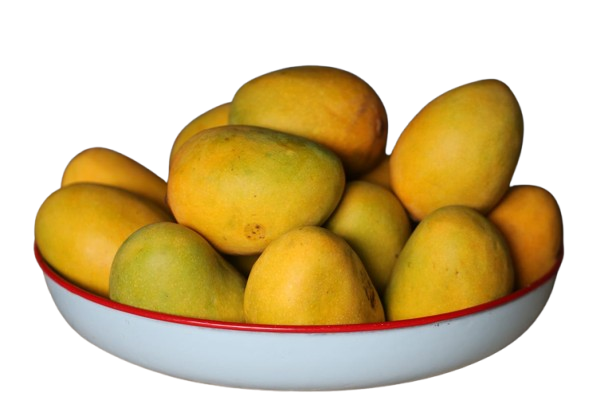 1_7P928fuhTOfqPtfv2MIHQw-removebg-preview