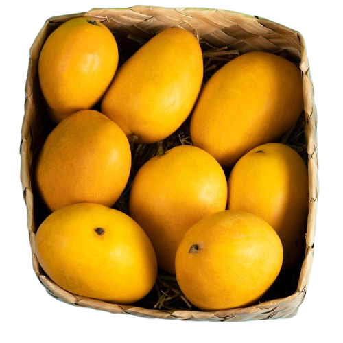 38bd53fccfcdf8ff5a34b70d200728d0-removebg-preview