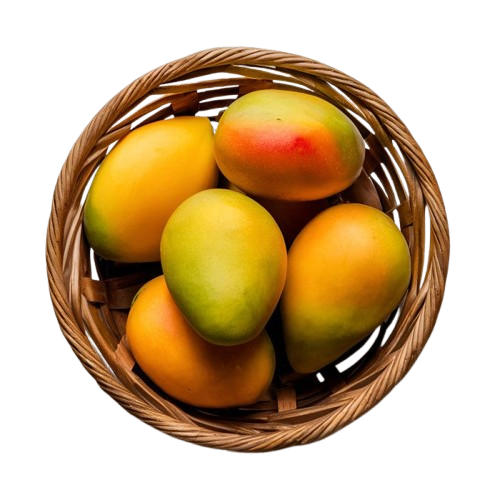 464d62830e02af4fd213b512eb566efe-removebg-preview