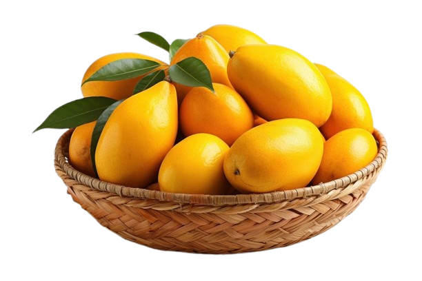 61f8eacd651770a9fcf6b8368ab1fa33-removebg-preview