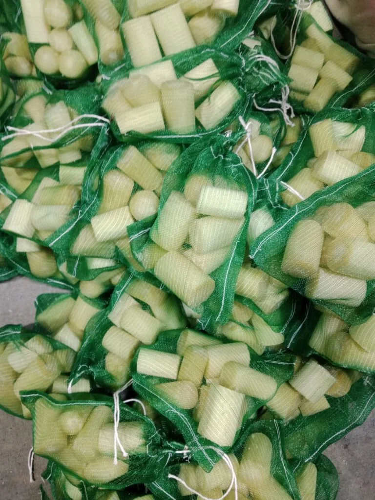 IMG-20251030-WA0004-768x1024