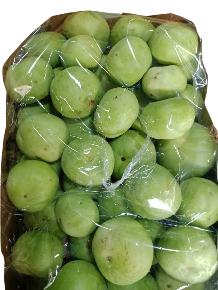 IMG-20251030-WA0015-removebg-preview