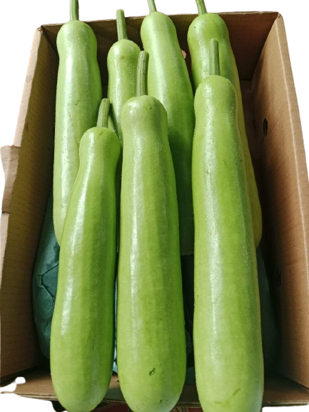 IMG-20251030-WA0016-removebg-preview