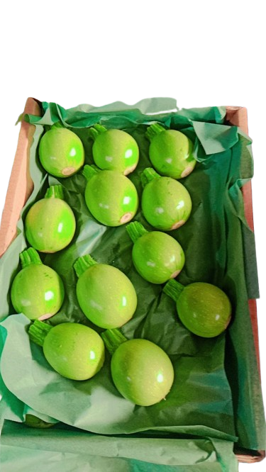 IMG-20251030-WA0017-removebg-preview