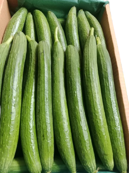 IMG-20251030-WA0018-removebg-preview