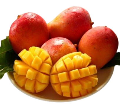 a599fd019a432a1523a4f186d28075af-removebg-preview