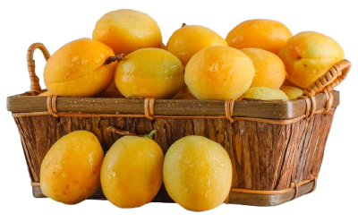 apricots-basket-wooden-table-side-view-removebg-preview