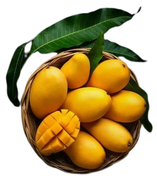 be51d859a41e450626836df2bc503b59-removebg-preview