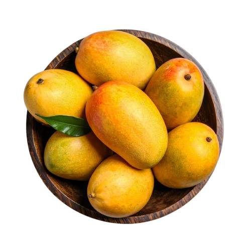 e3531a3684fe7346ef29d2b0e831a7b5-removebg-preview (1)