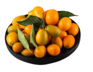 image-removebg-preview (12)