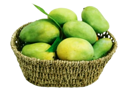 image-removebg-preview (13)