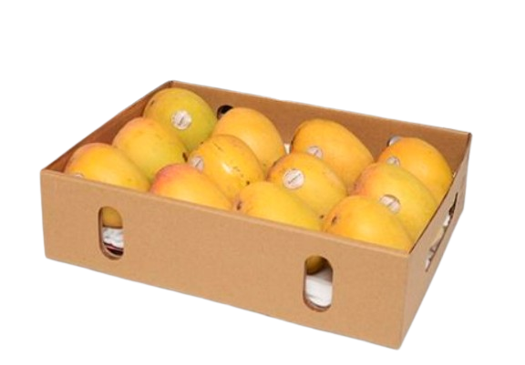 image-removebg-preview (14)