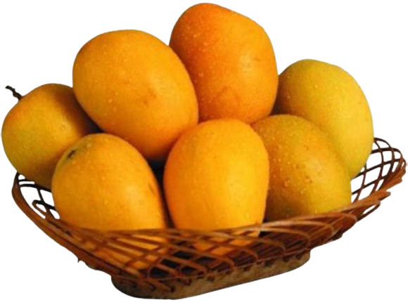 ode-simple-poems-and-haikus-removebg-preview