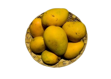 tasty-indian-mangoes-basket-badami-260nw-2151927183-removebg-preview
